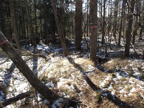 20181214hike (177)